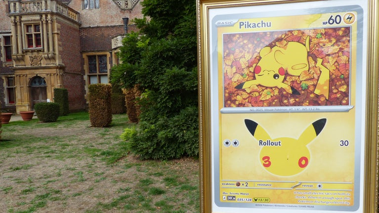 Pikachu at Charlecote Park